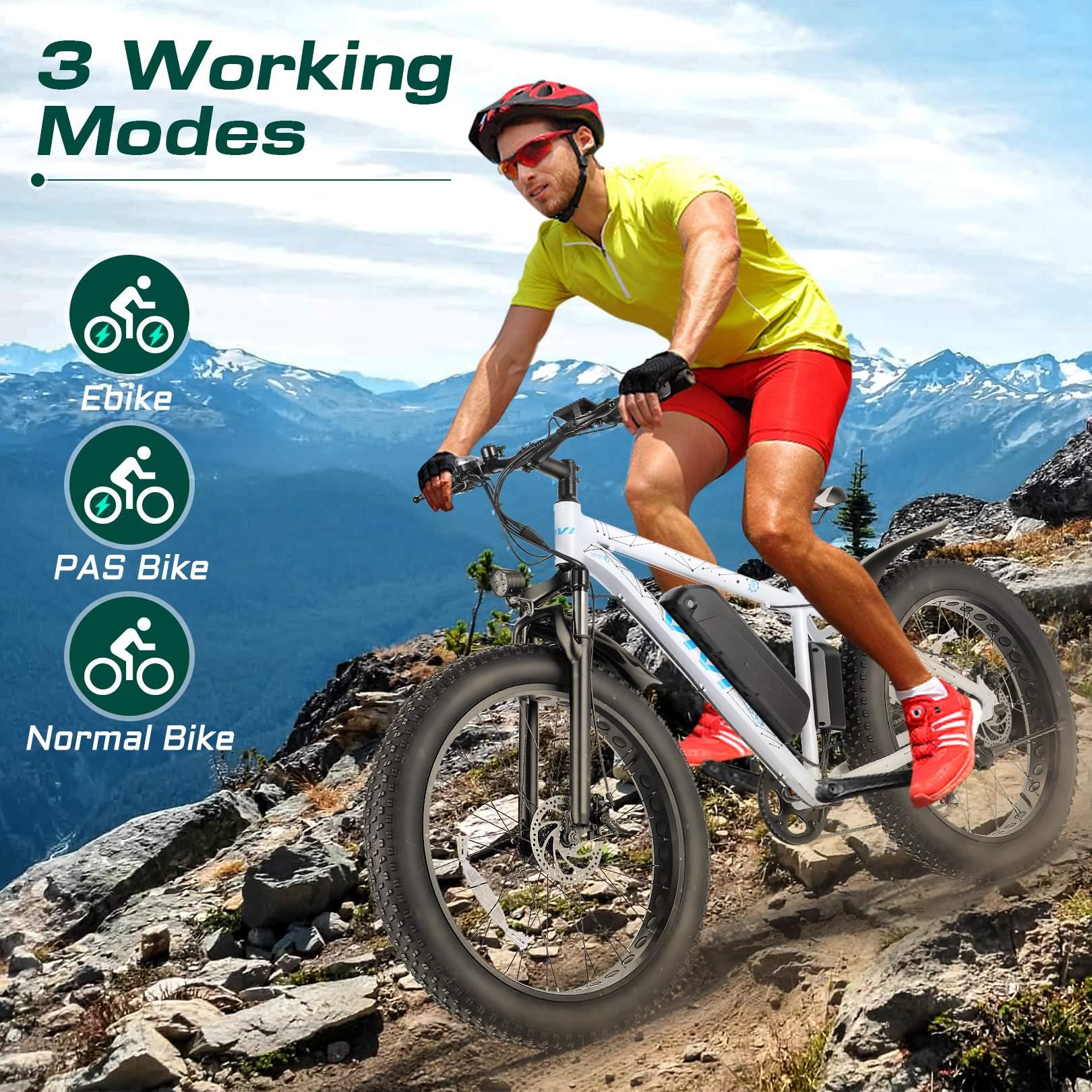 500W 26inch 48V/12.5Ah Adult E-bike Bicycle  7 Speed Electric Commuter Mountain Bike Disc Brake Lithium Battery